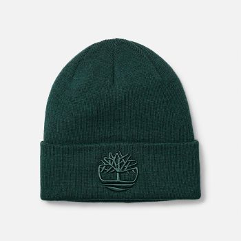 3D EMBROIDERY BEANIE Verde